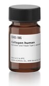 Collagen human Bornstein and Traub Type I, acid soluble, powder, ~95% (SDS-PAGE)
