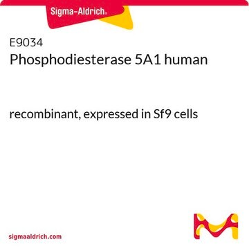 Phosphodiesterase 5A1 human recombinant, expressed in Sf9 cells