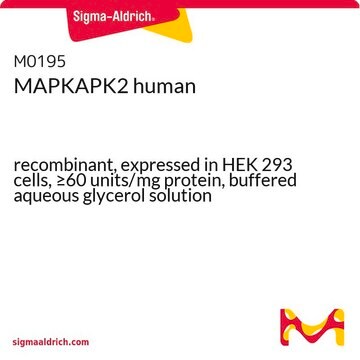 MAPKAPK2 human recombinant, expressed in HEK 293 cells, &#8805;60&#160;units/mg protein, buffered aqueous glycerol solution