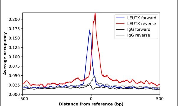 Anti-LEUTX antibody produced in rabbit Prestige Antibodies&#174; Powered by Atlas Antibodies, affinity isolated antibody, buffered aqueous glycerol solution