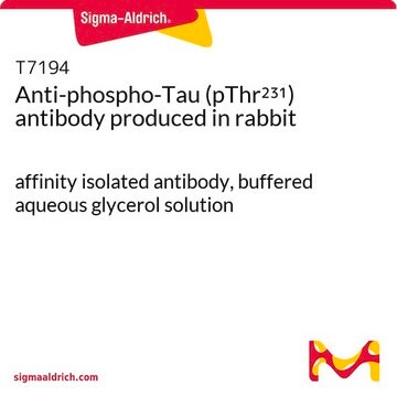 Anti-phospho-Tau (pThr231) antibody produced in rabbit affinity isolated antibody, buffered aqueous glycerol solution