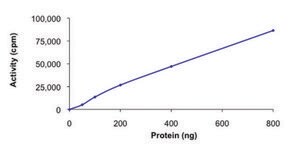 GRK2, active, GST tagged human PRECISIO&#174; Kinase, recombinant, expressed in baculovirus infected Sf9 cells, &#8805;70% (SDS-PAGE), buffered aqueous glycerol solution