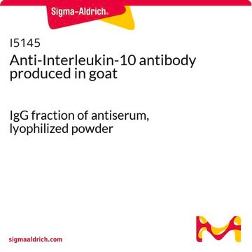 Anti-Interleukin-10 antibody produced in goat IgG fraction of antiserum, lyophilized powder