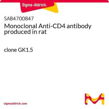 Monoclonal Anti-CD4 antibody produced in rat clone GK1.5