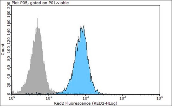 Anti-E-Cadherin Antibody, clone 67A4, Azide &amp; Ascites Free clone 67A4, 0.5&#160;mg/mL, from mouse