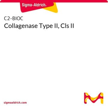 Collagenase Type II, Cls II