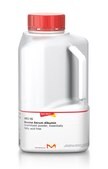 Bovine Serum Albumin lyophilized powder, Essentially fatty acid free