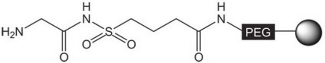 H-Gly-Sulfamylbutyryl NovaSyn&#174; TG resin Novabiochem&#174;