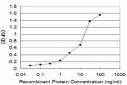 Monoclonal Anti-GSTO1 antibody produced in mouse clone 1B6, purified immunoglobulin, buffered aqueous solution