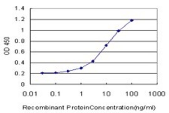 Monoclonal Anti-GDF2 antibody produced in mouse clone 4D2, purified immunoglobulin, buffered aqueous solution