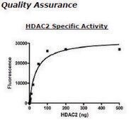 HDAC2 FLAG tag human recombinant, expressed in baculovirus infected insect cells, &#8805;50% (SDS-PAGE)