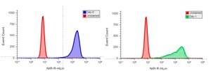 LuminiCell Tracker NIR- Cell Labeling Kit