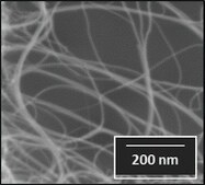 Carbon nanotube, few-walled carbon &#8805;95&#160;%