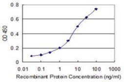 Monoclonal Anti-CACNA1I antibody produced in mouse clone 2F5, purified immunoglobulin, buffered aqueous solution