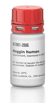 Noggin human recombinant, expressed in HEK 293 cells, suitable for cell culture