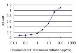 Monoclonal Anti-NISCH antibody produced in mouse clone 2C8, purified immunoglobulin, buffered aqueous solution