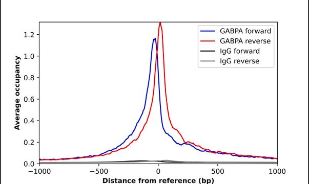 Anti-GABPA antibody produced in rabbit Prestige Antibodies&#174; Powered by Atlas Antibodies, affinity isolated antibody, buffered aqueous glycerol solution