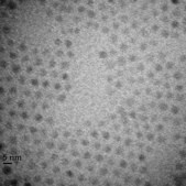Iron oxide(II,III), magnetic nanoparticles solution 5&#160;nm avg. part. size (TEM), amine functionalized, 1&#160;mg/mL Fe in H2O, dispersion