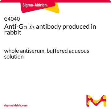 Anti-G&#945; i3 antibody produced in rabbit whole antiserum, buffered aqueous solution