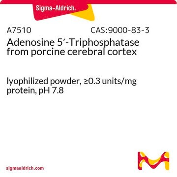 Adenosine 5&#8242;-Triphosphatase from porcine cerebral cortex lyophilized powder, &#8805;0.3&#160;units/mg protein, pH 7.8