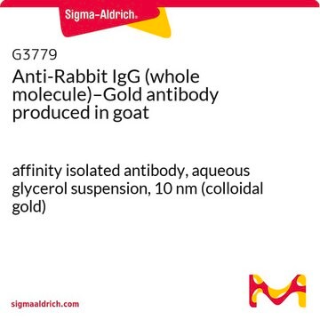 Anti-Rabbit IgG (whole molecule)–Gold antibody produced in goat affinity isolated antibody, aqueous glycerol suspension, 10&#160;nm (colloidal gold)