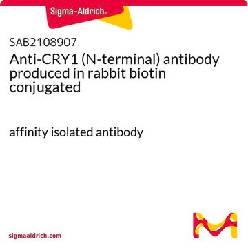 Anti-CRY1 (N-terminal) antibody produced in rabbit biotin conjugated affinity isolated antibody