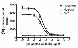 ChemiScreen Recombinant HumanMembrane Preparation &#945;1A Adrenergic Receptor Human alpha1A GPCR membrane preparation for Radioligand binding Assays &amp; GTP&#947;S binding.