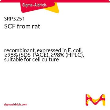 SCF from rat recombinant, expressed in E. coli, &#8805;98% (SDS-PAGE), &#8805;98% (HPLC), suitable for cell culture