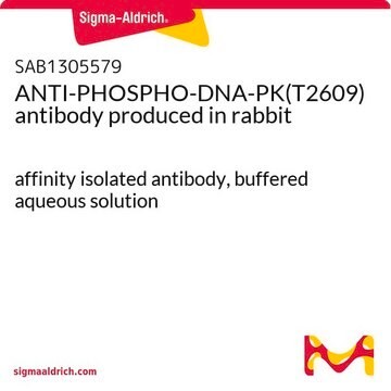 ANTI-PHOSPHO-DNA-PK(T2609) antibody produced in rabbit affinity isolated antibody, buffered aqueous solution