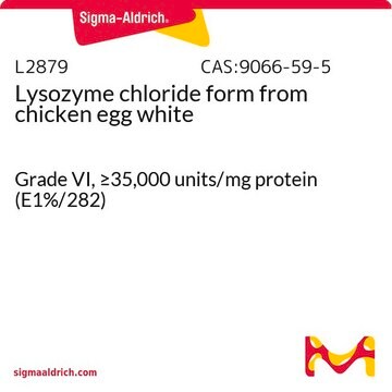 Lysozyme chloride form from chicken egg white Grade VI, &#8805;35,000&#160;units/mg protein (E1%/282)