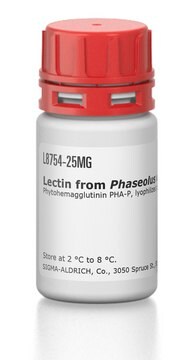 Lectin from Phaseolus vulgaris (red kidney bean) Phytohemagglutinin PHA-P, lyophilized powder