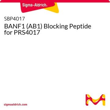 BANF1 (AB1) Blocking Peptide for PRS4017