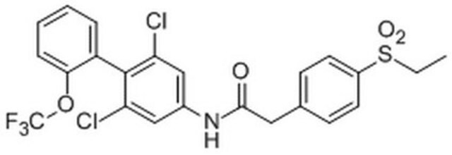 ROR&#947;t Inverse Agonist II, GSK805