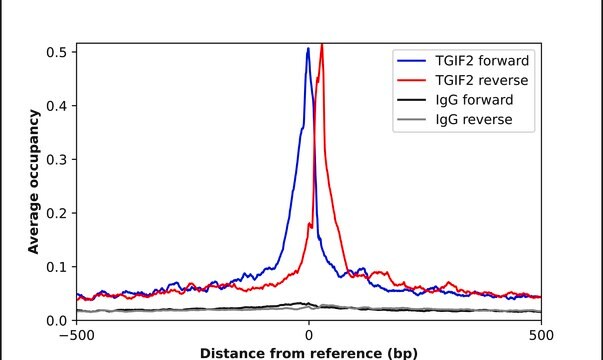Anti-TGIF2 antibody produced in rabbit Prestige Antibodies&#174; Powered by Atlas Antibodies, affinity isolated antibody