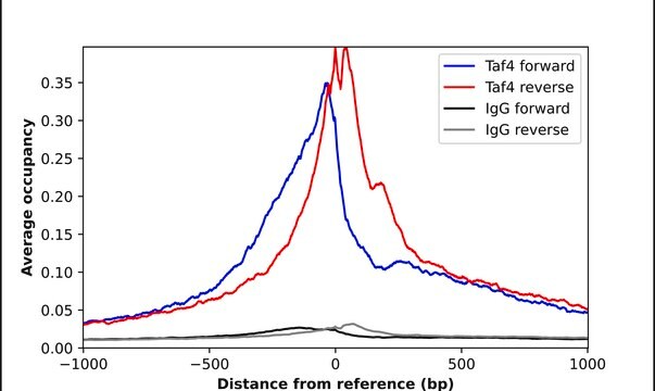 Anti-TAF4 antibody produced in rabbit Prestige Antibodies&#174; Powered by Atlas Antibodies, affinity isolated antibody, buffered aqueous glycerol solution