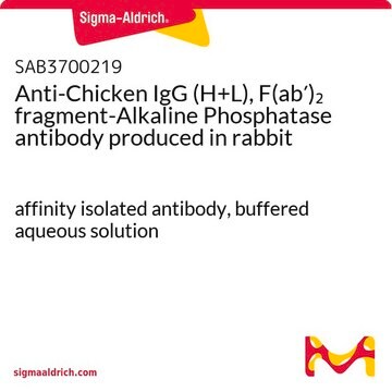 Anti-Chicken IgG (H+L), F(ab&#8242;)2 fragment-Alkaline Phosphatase antibody produced in rabbit affinity isolated antibody, buffered aqueous solution