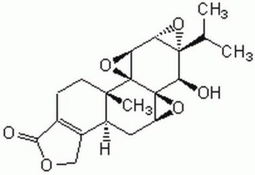 Triptolide, Tripterygium wilfordii A novel diterpene triepoxide isolated from the Chinese herb Tripterygium wilfordii that acts as a potent immunosuppressant and anti-inflammatory agent.