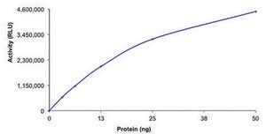 HDAC1, active, GST tagged human recombinant, expressed in baculovirus infected Sf9 cells, &#8805;70% (SDS-PAGE), buffered aqueous glycerol solution