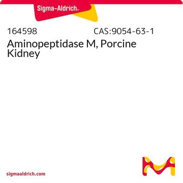 Aminopeptidase M, Porcine Kidney