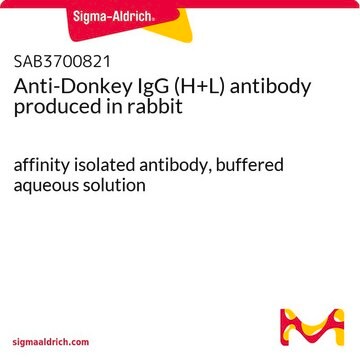 Anti-Donkey IgG (H+L) antibody produced in rabbit affinity isolated antibody, buffered aqueous solution