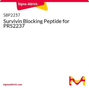 Survivin Blocking Peptide for PRS2237