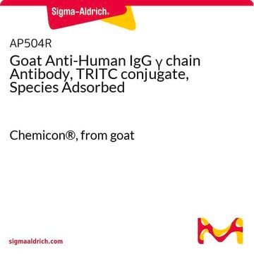 Goat Anti-Human IgG &#947; chain Antibody, TRITC conjugate, Species Adsorbed Chemicon&#174;, from goat