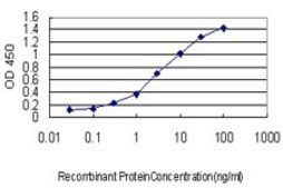 Monoclonal Anti-PDE3A antibody produced in mouse clone 5C12, purified immunoglobulin, buffered aqueous solution