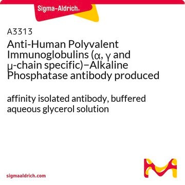 Anti-Human Polyvalent Immunoglobulins (&#945;, &#947; and &#956;-chain specific)&#8722;Alkaline Phosphatase antibody produced in goat affinity isolated antibody, buffered aqueous glycerol solution