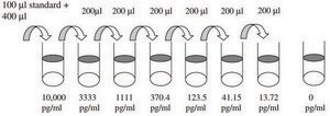 Mouse MMP-3 ELISA Kit for serum, plasma and cell culture supernatant