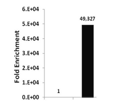 ChIPAb+ Acetyl-Histone H3 (Lys56) - ChIP Validated Antibody and Primer Set from rabbit, purified by affinity chromatography