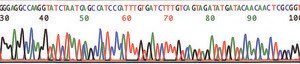 GenElute&#8482; PCR Clean-Up Kit sufficient for 70&#160;purifications