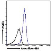 Anti-DPP4/CD26 antibody produced in goat affinity isolated antibody, buffered aqueous solution