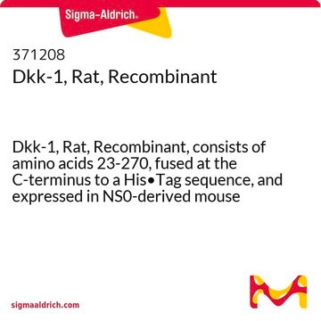 Dkk-1, Rat, Recombinant Dkk-1, Rat, Recombinant, consists of amino acids 23-270, fused at the C-terminus to a His&#8226;Tag sequence, and expressed in NS0-derived mouse myeloma cells.