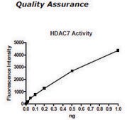 HDAC-7 human recombinant, expressed in baculovirus infected insect cells, &#8805;70% (SDS-PAGE)